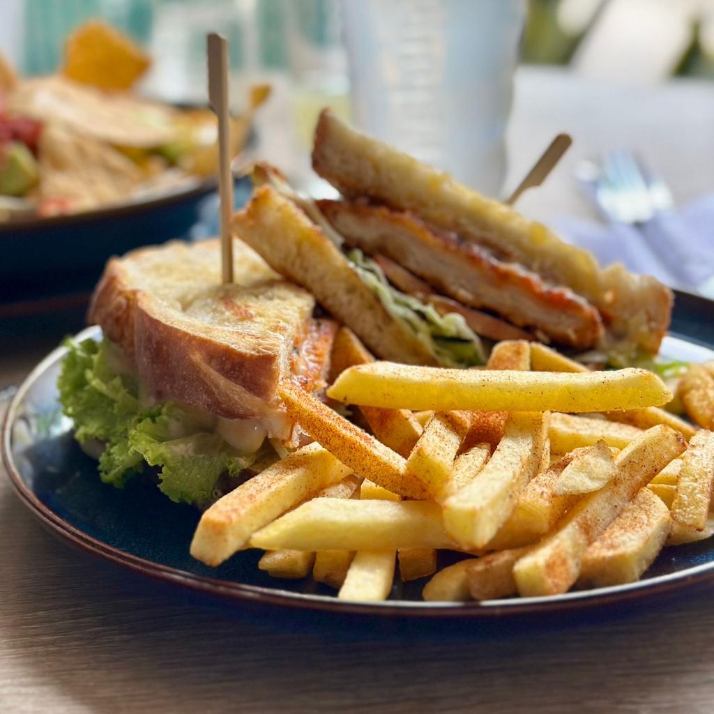 PANNINI POLLO CRISPY_1